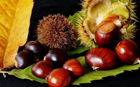 *** Chestnut *** - food, chestnut, nature, nuts