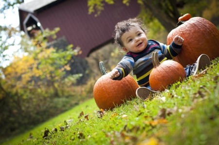 *** Little pumpkin *** - childchood, kid, kids, people, pumpkin, child