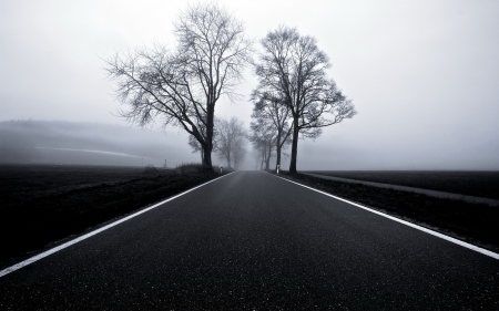 Fogy morning - 2013, 03, image, fog, road, 12