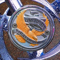 Harley-Davidson.