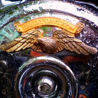 Harley-Davidson.