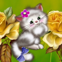 KITTY