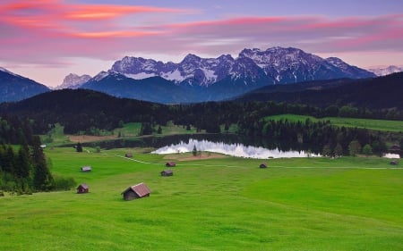 Nature - tree, forest, nature, mount