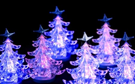 Christmas trees - christmas, black, decoration, blue, fir, light, pink, tree