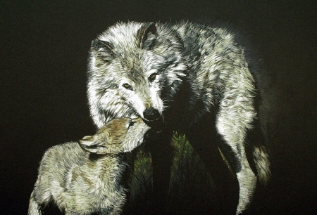 wolves - abstract, grey wolf, maned wolf nature, majestic, canine, friendship