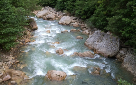 River - nature, water, trees, river