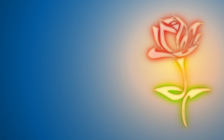 warm rose - yellow, warm, red, blue, beautiful, green, rose, flower