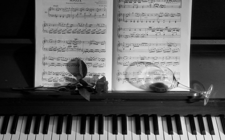 Love Song - pages, piano, book, love, flower, music, black, instrument, white, rose, keys, monochrome, notes, glass