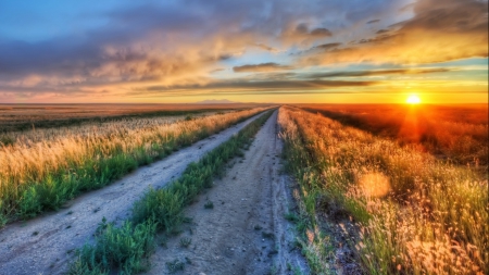 dirt road through fields at gorgeous sunset hdr - fields, clouds, hdr, sunset, road, grass