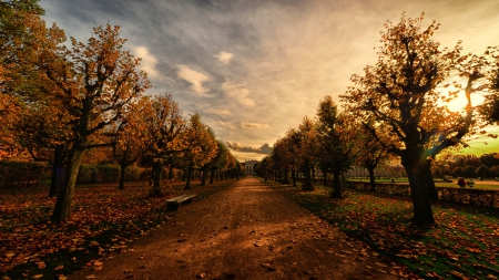 tree lined dirt driveway to a palace - dirt, driveway, trees, palace