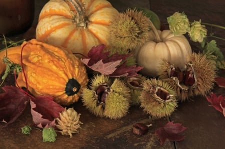 *** Autumn harvest *** - pumpkins, harvest, nature, autumn