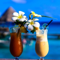 Tahitian Cocktails with Plumeria