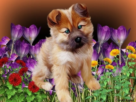 SITTING IN FLOWERS - CUTE, LITTLE, PUPPY, FLOWERS