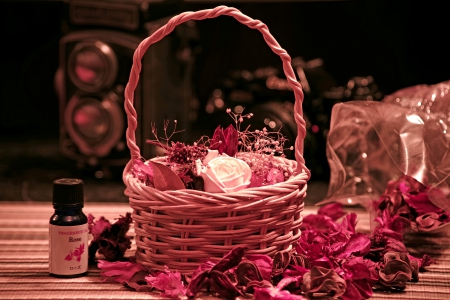 ROSE BASKET - roses, basket, stillife, photo