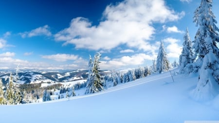 Mountain slope - sky, mountain, landscape, pine, winter, wallpaper, hd, nature, forest, snow, clouds, scene