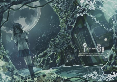 ❁~Ƥℓαт Ħσмɛ~❁ - Alone, Black Shoes, Flowers, White Shirt, Cliffs, Way, Stars, House, Black Skirt, Darkness, Home, Uniform, Moon, Trees, Leaves, Black Hair, Huge, Branches, Kazatabi Lee, Door, Creepy, Path, Scenery, Full Moon, Artworks, Music, Lonely, Night, Smile, Mysterious, Lovely, Branch, Anime, White, Headphones, Dark, Long Hair, Strange, Shrubs, Green, Seifuku, Plat Home, Sky, Girl, Plat, Vineyard