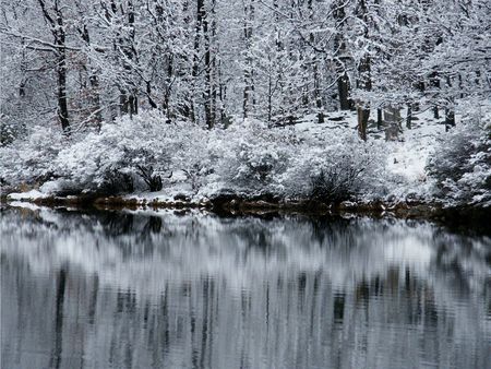 	Winter Reflections - reflections, winter