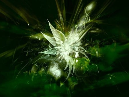 Green Spectacle ! - abstract, black, beautiful, green, aurora borialis, art