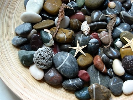 Beach Pebble Plate - plate, pebble, beach