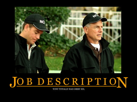 NCIS Boss Gibbs and Tony - job description, ncis