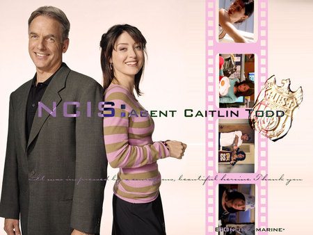 NCIS Gibbs & Kate - ncis, special agents