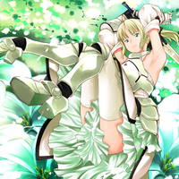 saber lily