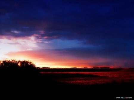 Sunset - beautiful, sky, nature, sunset