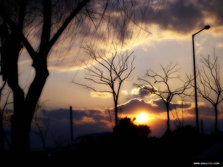 Sunset - beautiful, sky, nature, sunset