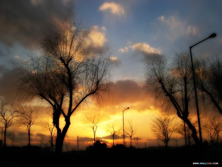 sunset - beautiful, sky, nature, sunset