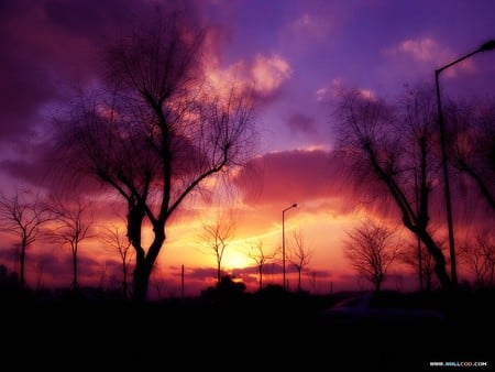 sunset - beautiful, sky, nature, sunset