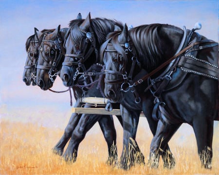 percheron team - team, horses, strong, painting