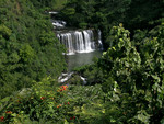 Falls