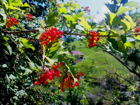 The Beautiful Romania - Romania, Beautiful, Beauties, nature