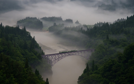 train on a rail bridge over a river gorge in fog - river, train, forests, fog, gorge, bridge