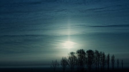  Sky - sky, trees, clouds, blue