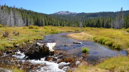 River - nature, mount, tree, river