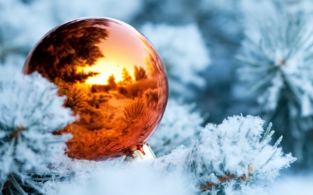 Christmas - ball, winter, ornament, christmas, decoration, white, fir, orange, tree, sunset, snow