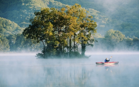 rowing on a lake in morning fog - morning, lake, trees, rower, kiak, fog, island