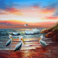 PELICAN ISLAND