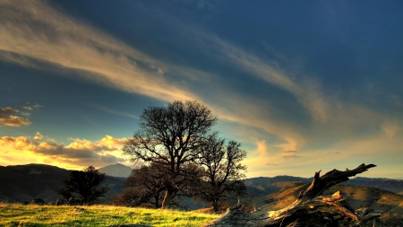 lovely dead tree on a hillside - hills, log, grass, tree, sky