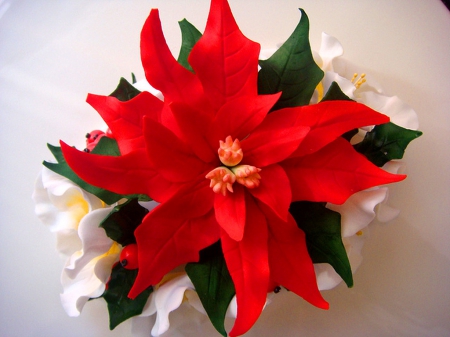 Poinsettia beauty - decoration, red, poinsettia, flower, Christmas