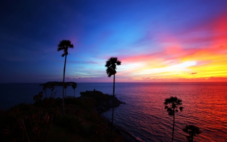 Colours of nature - sunset, nature, dusk, ocean, palm