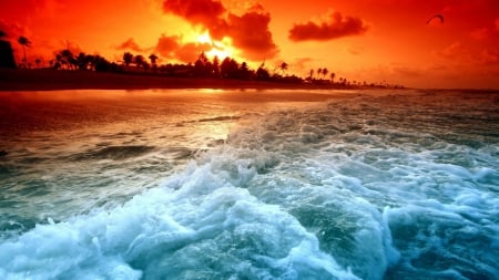 Orange sunset over the ocean - sunset, nature, beach, ocean, orange