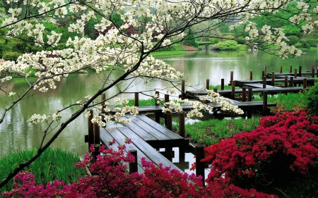 Japanese garden - blossom, garden, Japan, lake, bridge