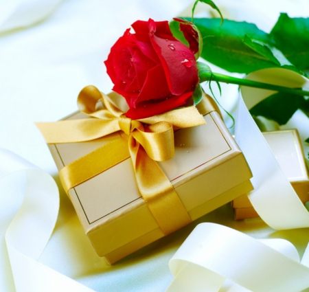 :) - gift, box, rose, flower