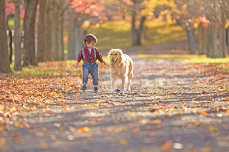 Friends - face, pretty, playful dog, cute, animals, beautiful, sweet, puppy, playful, dogs, puppies, lovely, dog face