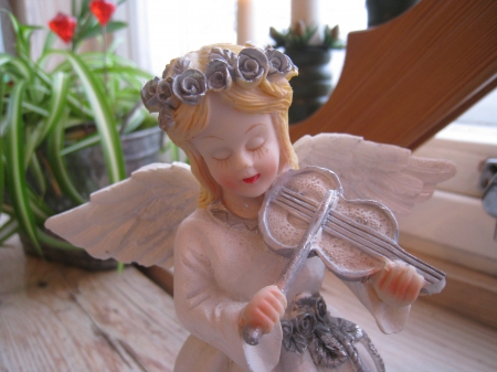 My Christmas Angel - white, angel, window, plant, wings, violin, colors, flowers