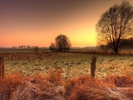 field in autumn