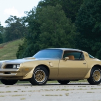 Trans -Am Gold