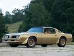 Trans -Am Gold